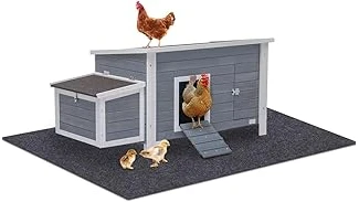 Top 10 Material for Chicken Run Floor