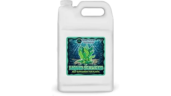 The image shows lush green cannabis plants thriving outdoors, likely benefiting from top nutrients for weed.