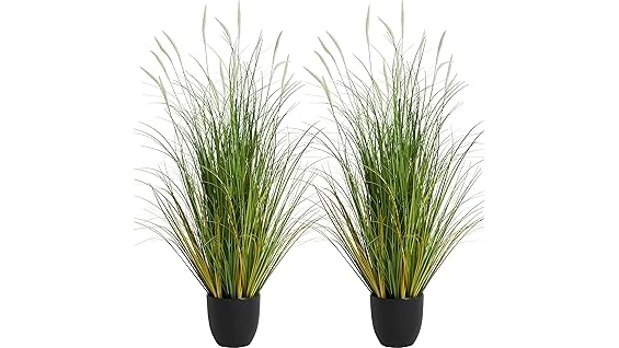 Top 10 Ornamental Grasses for Around Pool