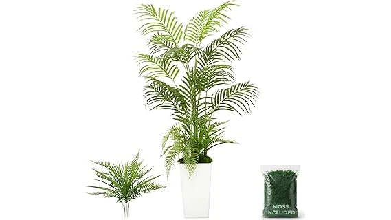 This image shows a lush indoor kentia palm, a popular choice for Top 10 Palm Trees for Indoors.