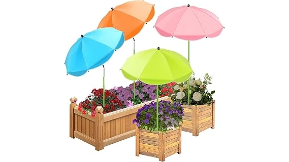 Top 10 Patio Plants for Shade