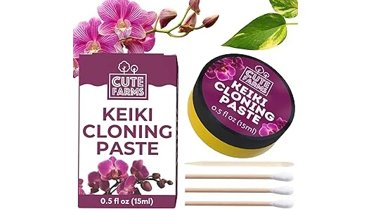 Top 10 Plant Food for Orchids