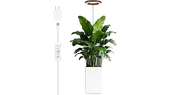 The image shows a bright grow light illuminating a large Monstera plant, perfect for any plant collection.