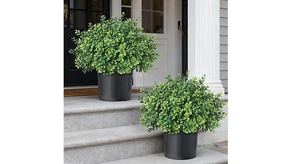 The image shows a welcoming front porch decorated with various potted plants, perfect for the Top 10 Plant for Front Porch list.