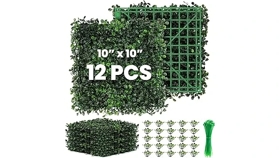 Top 10 Plant for a Hedge