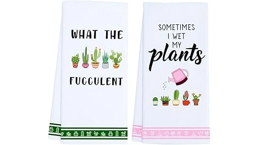 This image shows a beautiful collection of potted plants, perfect for a Top 10 Plant Gift on Birthday.