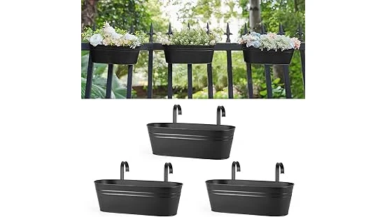 Top 10 Plants for Balcony Garden
