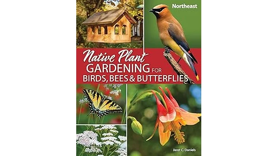 The image shows vibrant flowers buzzing with bees and butterflies, perfect for attracting pollinators.