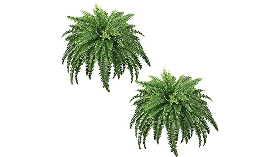 The image shows a welcoming front door adorned with vibrant, potted plants for entryway charm.