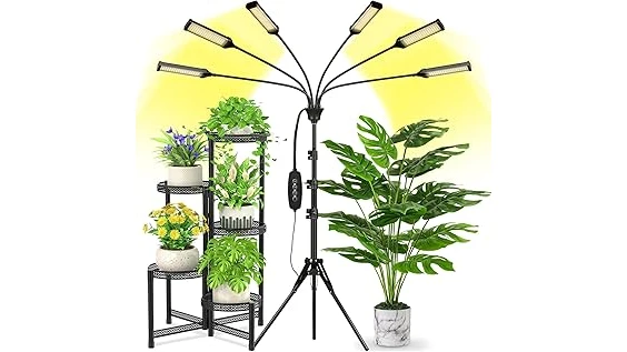 The image shows a vibrant collection of drought-tolerant plants thriving in bright sunlight, perfect for high heat.