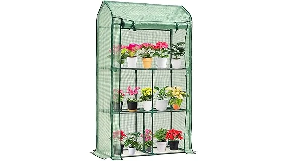 The image shows lush green plants thriving in a well-lit indoor greenhouse, ideal for a top 10 list.