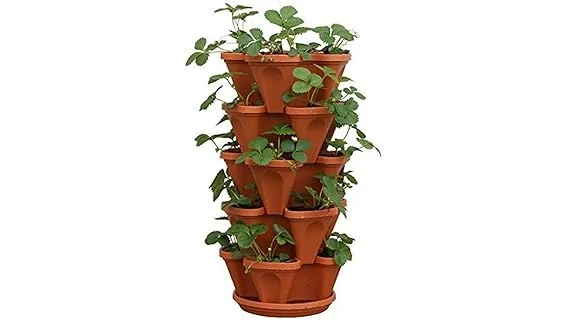 Top 10 Plants for Strawberry Pots