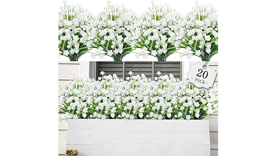 The image shows lush green plants in decorative pots on a covered porch, ideal for the top 10 list.