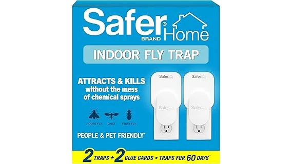 The image shows a small, white plug-in device attracting fruit flies in a kitchen setting.