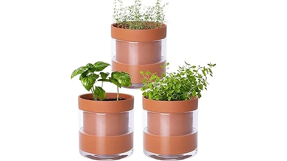 The image shows various herb plants potted in different container sizes.