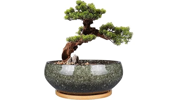The image shows a variety of stylish pots perfect for a top 10 bonsai tree collection.