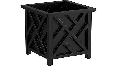 The image shows a vibrant hibiscus tree planted in an attractive pot, perfect for displaying your plants.