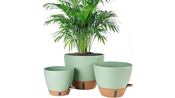 The image shows a vibrant lemon tree growing in a stylish pot, ideal for any home.