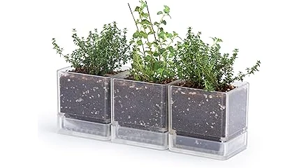 Top 10 Pots for Growing Herbs