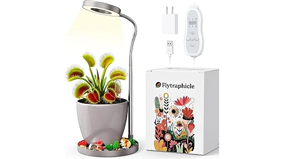 The image shows a collection of stylish pots, perfect for showcasing Venus Fly Traps.