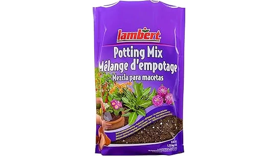 Top 10 Potting Soil for House Plants