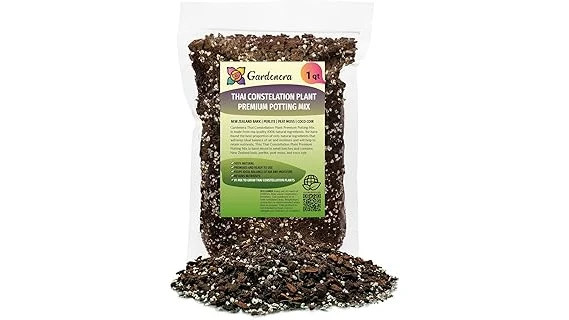 Top 10 Potting Soil for Monstera Plant