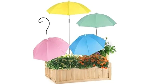 Top 10 Shade Plants for Pots