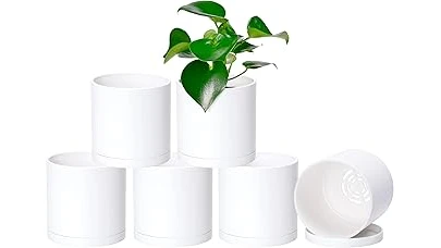 The image shows various sized pots, perfect for featuring the top 10 pot sizes for aloe plants.