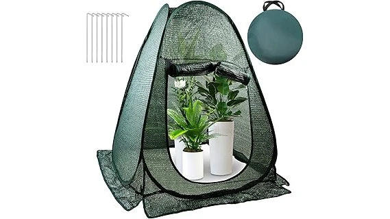 The image shows a lush, shady garden bed with several small shrubs, perfect for the Top 10 Small Shrubs for Shade list.