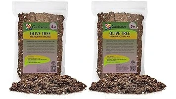 Top 10 Soil for Olive Tree in Pot