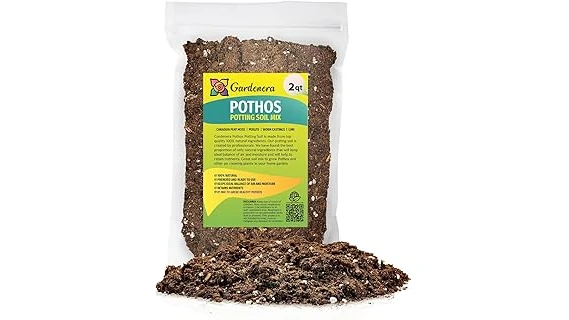 Top 10 Soil for Snake Plant Indoor