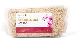 Top 10 Sphagnum Moss for Plants