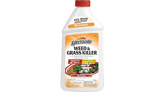 Top 10 Spot Weed Killer for Lawns