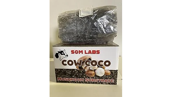 Top 10 Substrate for Growing Mushrooms