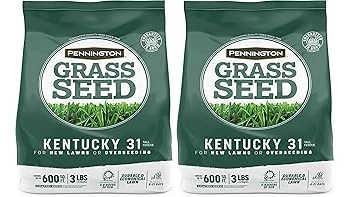 Top 10 Tall Fescue and Kentucky Bluegrass Mix