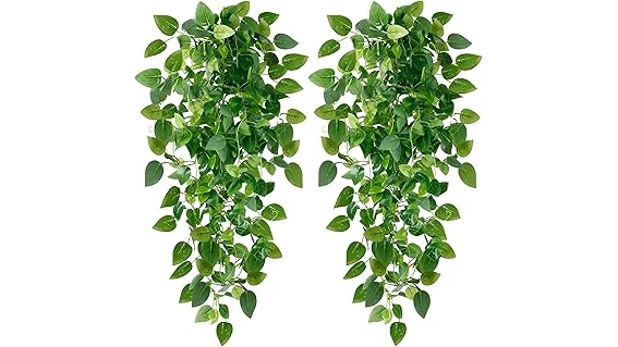 The image shows lush trailing plants cascading from a window box, perfect for the Top 10 list.