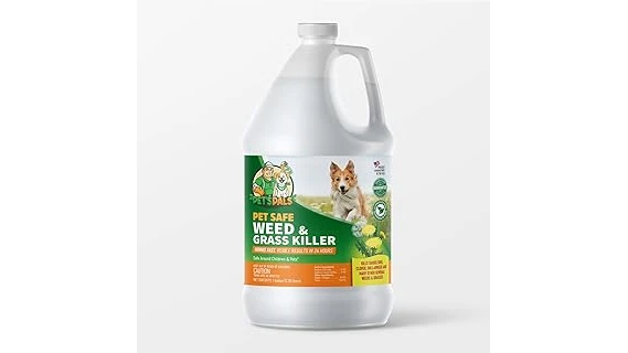 Top 10 Weed Killer for Chickweed