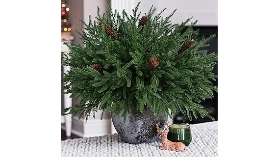 This image shows vibrant potted plants, perfect for a guide to Top 10 Winter Plants for Pots.