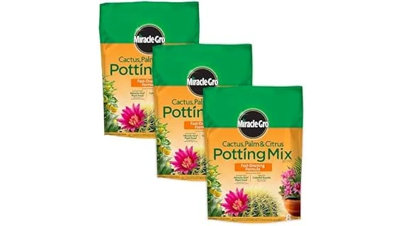 Top 3 Soil for Devil S Ivy