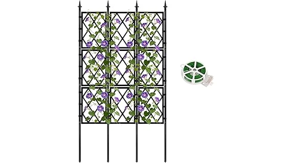 Top Rated 10 Climbing Plants for Fences