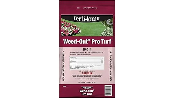 The image shows lush green clover growing vibrantly, representing top-rated clover for poor soil.