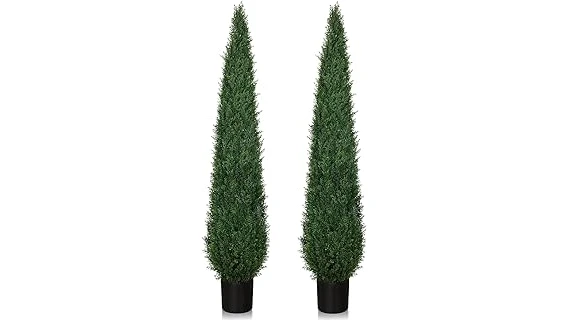 The image shows lush, dense evergreen bushes creating a natural privacy screen in a garden setting.