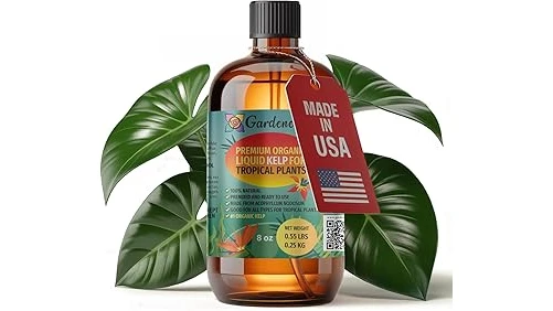 The image shows a Bird of Paradise plant with vibrant orange and blue flowers, thriving with fertilizer.