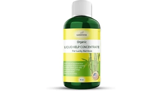 This image shows various bottles of top-rated fertilizers suitable for lucky bamboo plant care.