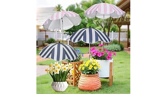 Top Rated 10 Flowers for Shade Garden