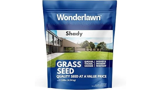 The image shows a lush, green patch of grass thriving in a damp, shaded garden area.