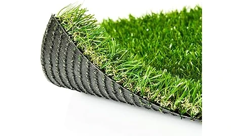 The image shows lush, green grass thriving in a shady garden, perfect for a Top 10 Grass for Shady Area list.
