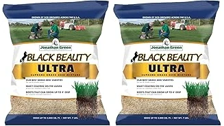 The image shows lush green grass blades, highlighting top-rated choices for Zone 7 lawns.