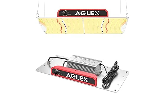 The image shows a powerful grow light illuminating a 4x2 tent setup, highlighting top-rated options.