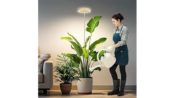 The image shows a lush Monstera plant thriving under a bright grow light, highlighting top picks for its care.